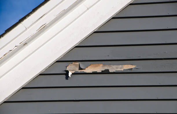 Best Construction Debris Removal  in Brinkley, AR