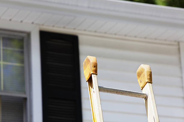 Best Hoarding Cleanup  in Brinkley, AR